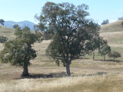 512 Kiewa East Road, Tangambalanga