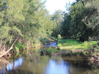 2286D 2286D Moss Vale Road, Kangaroo Valley