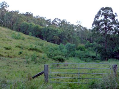 Kandanga Creek