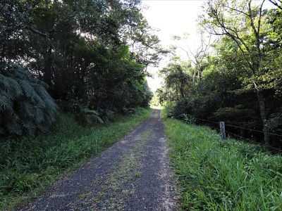 30-46 Old Cairns Track, Topaz