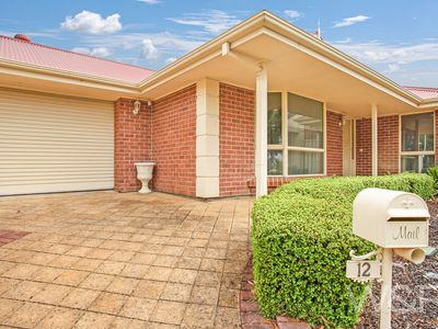 12 Bellchambers Court, Modbury Heights