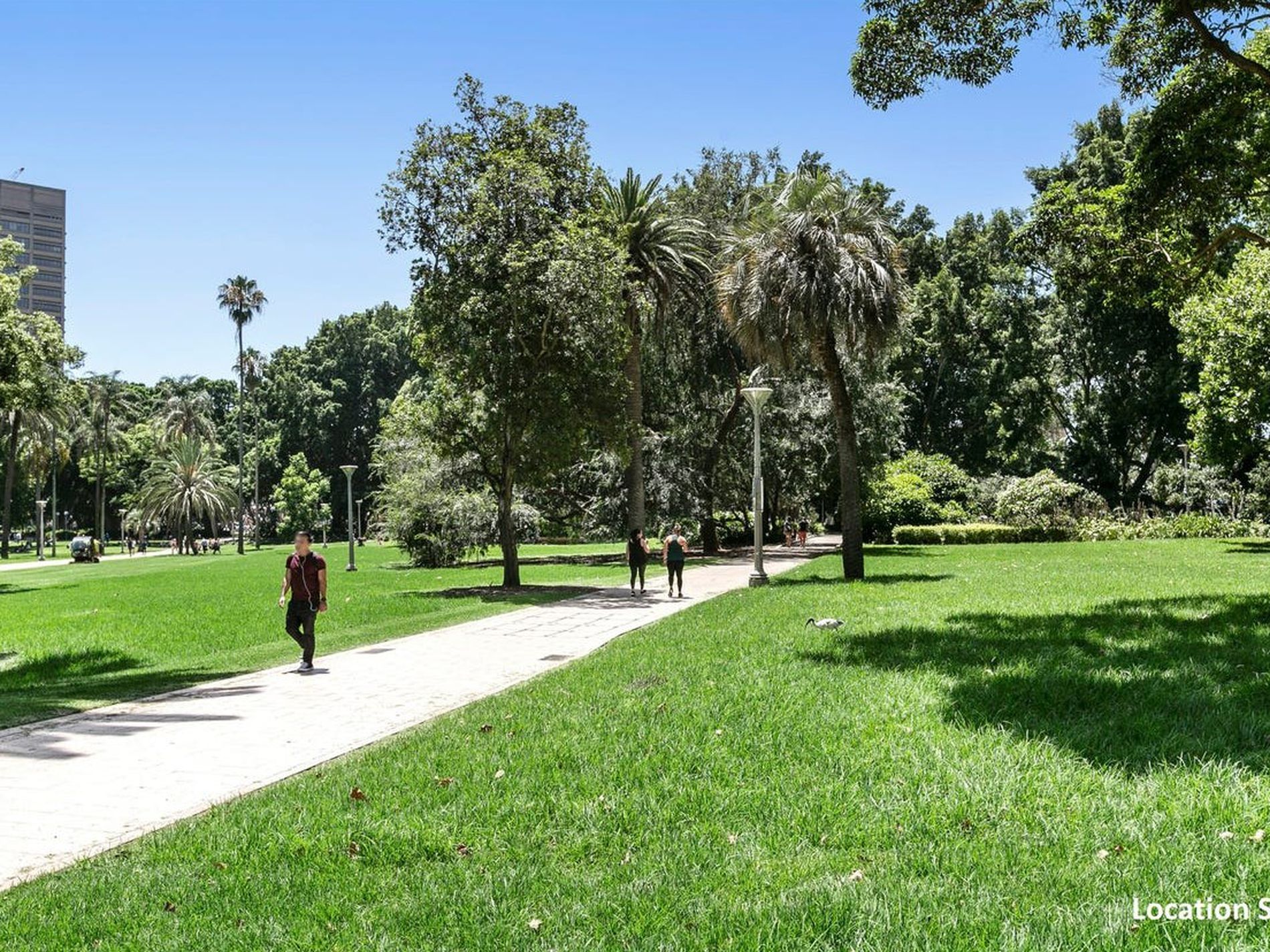 333 / 27 Park Street, Sydney