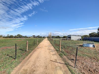 1901 Jervois Road, Woods Point