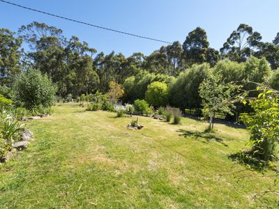 149 Missing Link Road, Wattle Grove