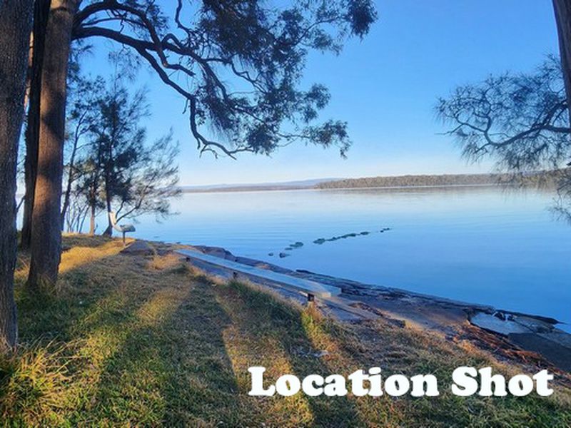 Real Estate Agent Basin View Dwell Realty