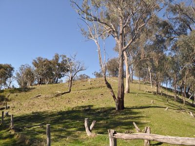 259 / Central Reserve Road, Ettamogah