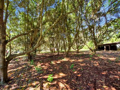 238 Ball Road, Peeramon