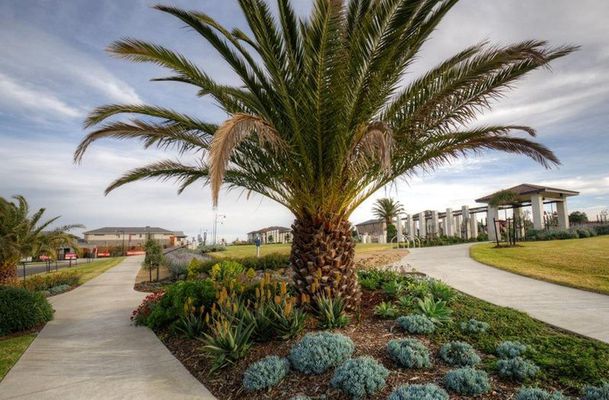 6 Naxos Road, Greenvale