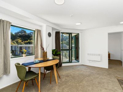 C17 / 13 Palm Grove, Berhampore