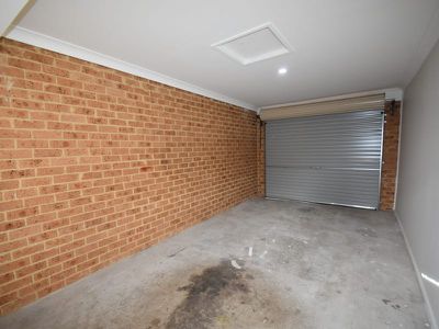 Mount Druitt