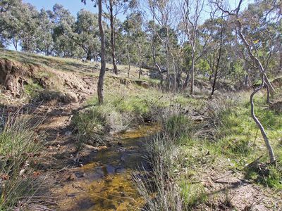Lot 1, Barry Lane, Tooborac