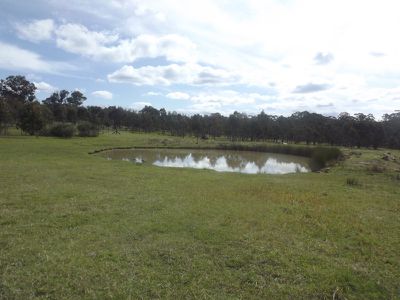Lot 90, 22 Cartarrah Creek Road, Torrington