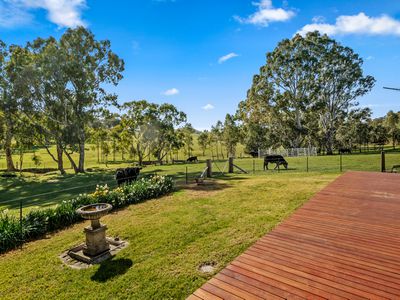 1214 Monkey Gully Road, Goughs Bay
