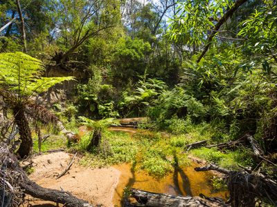 Kingfisher Road , Wyndham