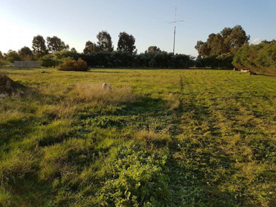 57 Honniball Drive, Tocumwal