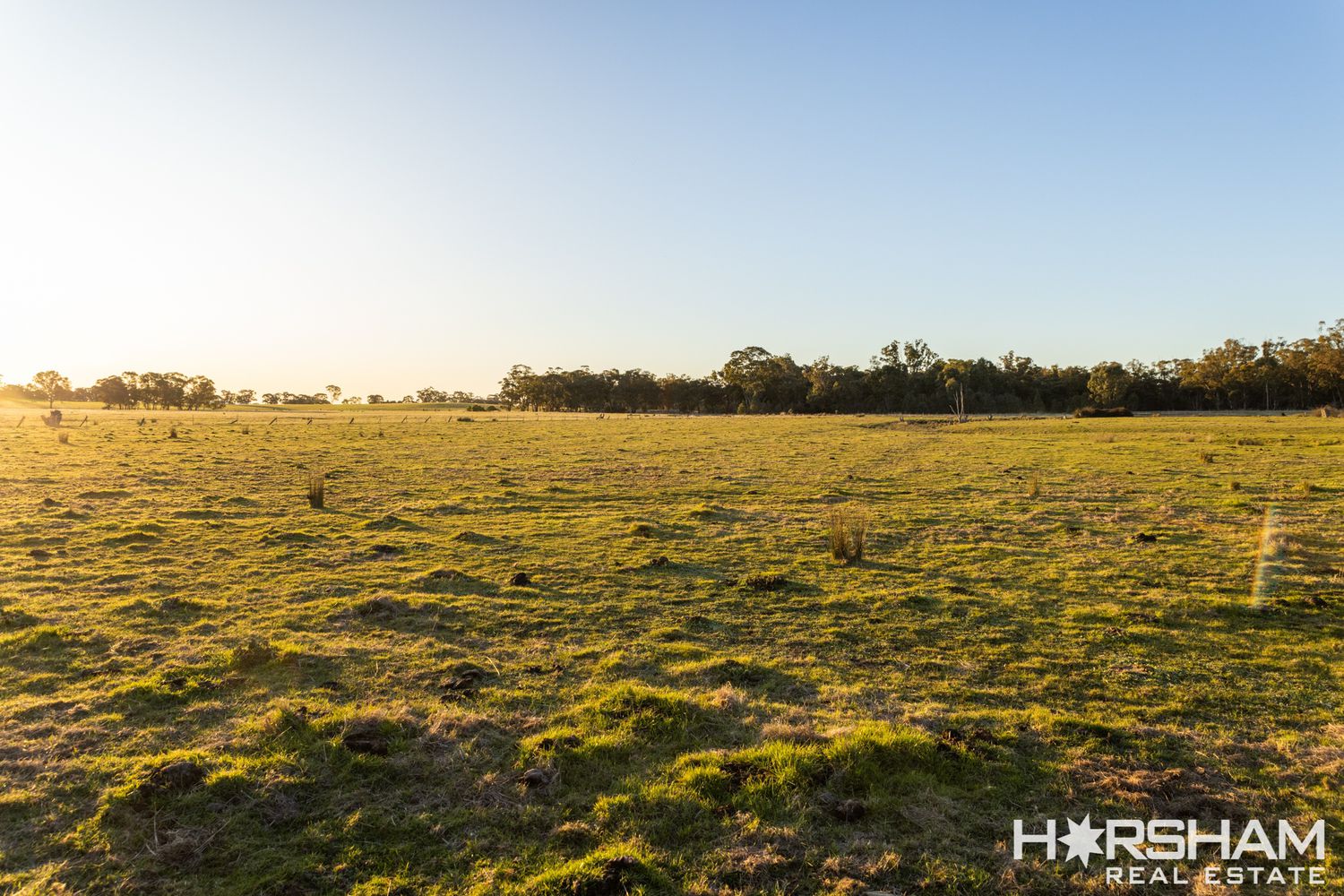 Lot 41 Sims Lane, Homebush