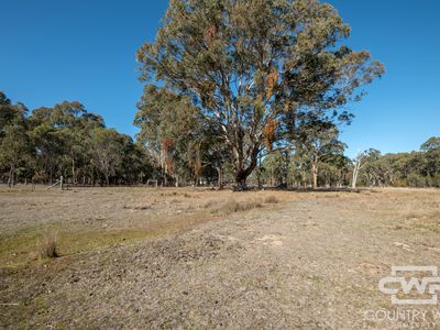 13 Deloraine Road, Emmaville