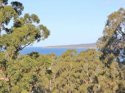 19 Whale Cove Circuit, Eden