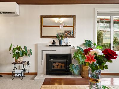 11 Cohen Place, Wakari