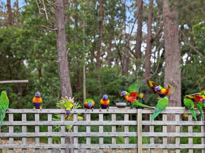 7 Brace Close, Kioloa