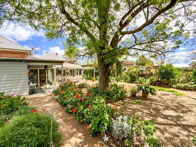 14 Wambat Street, Forbes