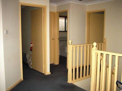 Mount Warrigal