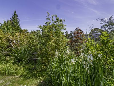 242 Woolleys Road, Lonnavale