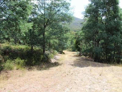 547 She Oak Road, Judbury