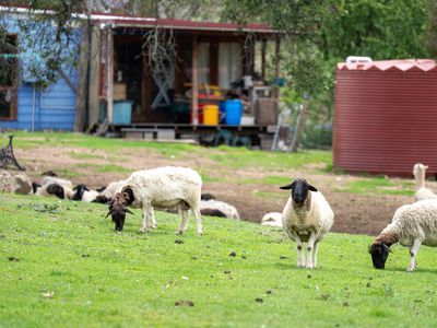 79 Mackeys Lane, Wyanbene