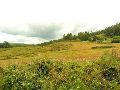 Braeside Road, Franklin