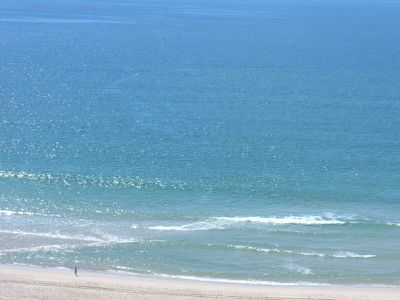 Palm Beach