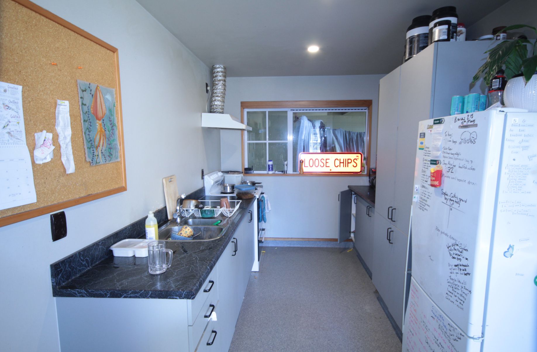 135 Harbour Terrace, North Dunedin