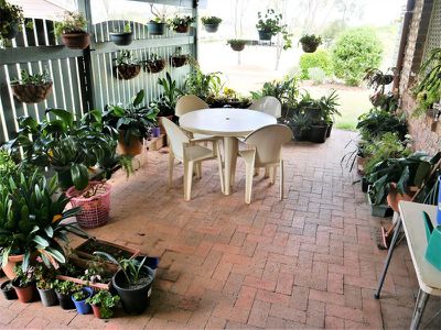16 Lister Court, Kingaroy