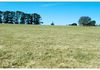 90 Tallwood Road, Millthorpe