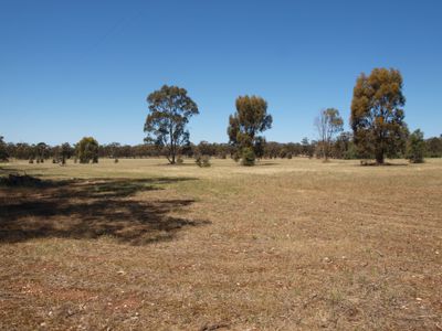 3272 Avoca-Bealiba Road, Bealiba