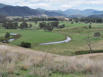 . Mitta North Road, Mitta Mitta