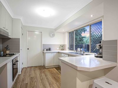 8 Ghost Gum Court, Albany Creek