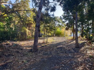 7 Amelia Street, Gordon