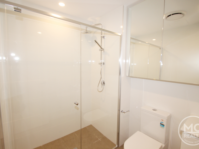 310 / 11 Raphael Street, Lidcombe