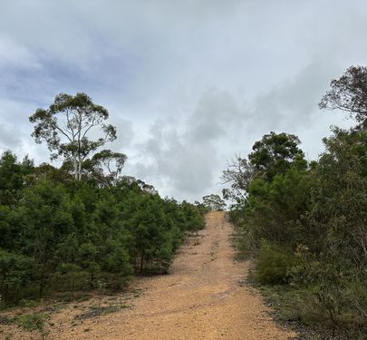 Lot 82 Nerriga Road, Tomboye, Braidwood