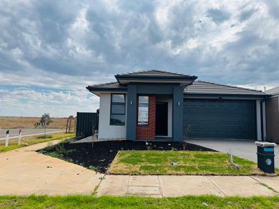 91 Adelong Boulevard, Cobblebank