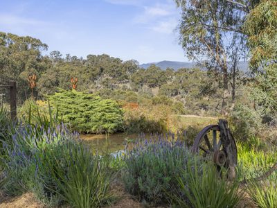 105 Lochiel Road, Barwite