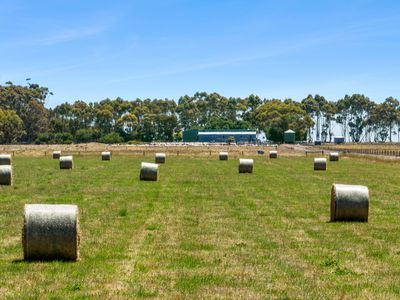 498 Four Tree Road, Lismore