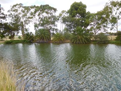 35 Homewood Drive, Mooroopna