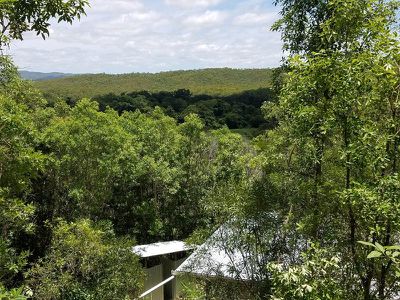 Lot 36, 435 Shiptons Flat Road, Rossville