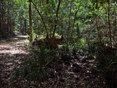 Maleny