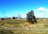 * Burrendong Way, Euchareena