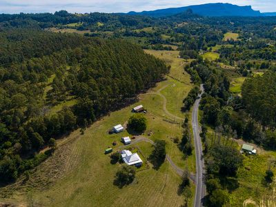 163 Blue Knob Road, Nimbin