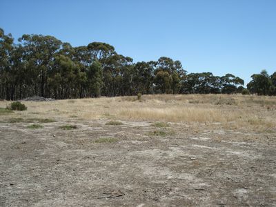 80 Old Boort Road, Wedderburn