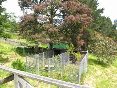 231 Guys Road, Cygnet